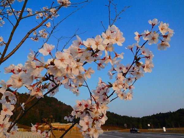 dscn1505